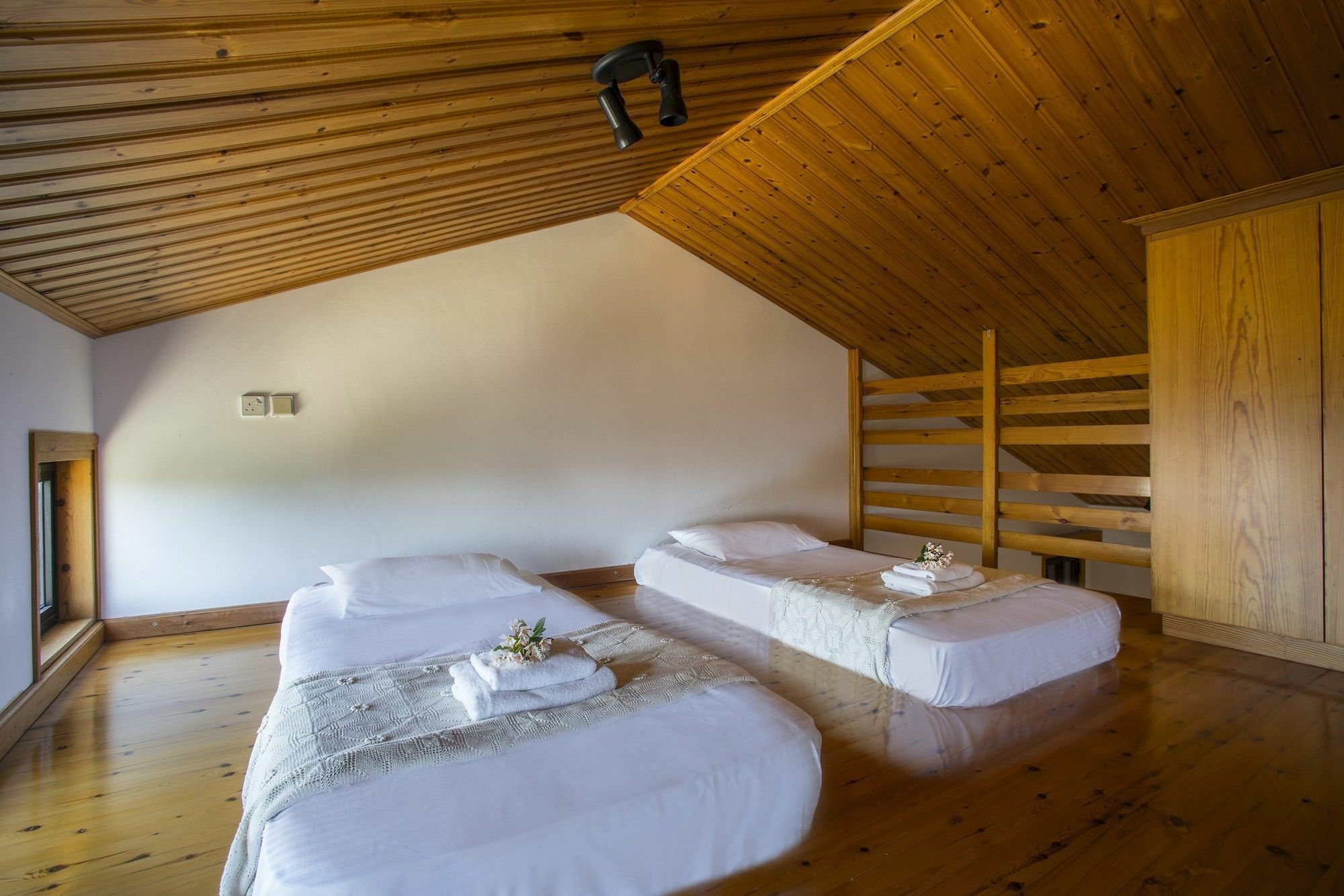 Ayia Napa Villa Magnolia מראה חיצוני תמונה